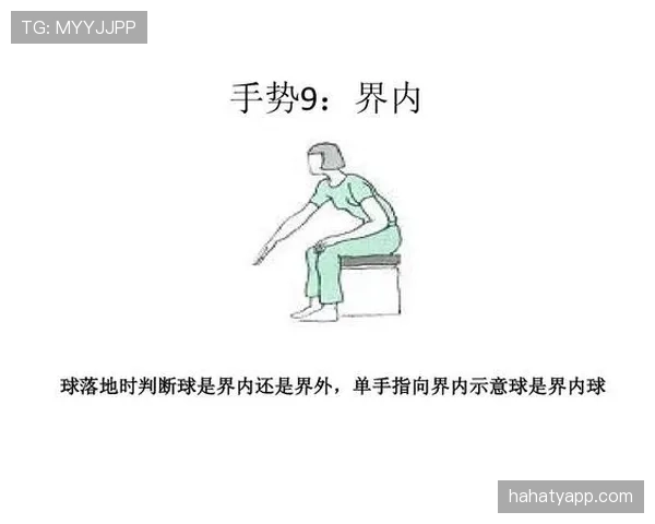 裁判判罚手势到底有多重要？常见误读全解读