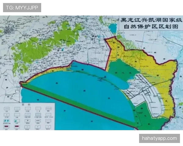 萨卡与巴尔科拉边路进攻潜力及成长路径对比分析 萨卡与巴尔科拉边路进攻潜力及成长路径对比分析