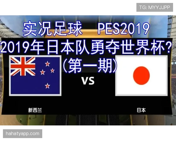 日本队世界杯赛果模拟分析